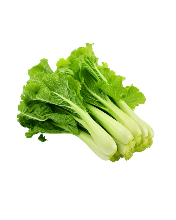 grocery-29-675x842